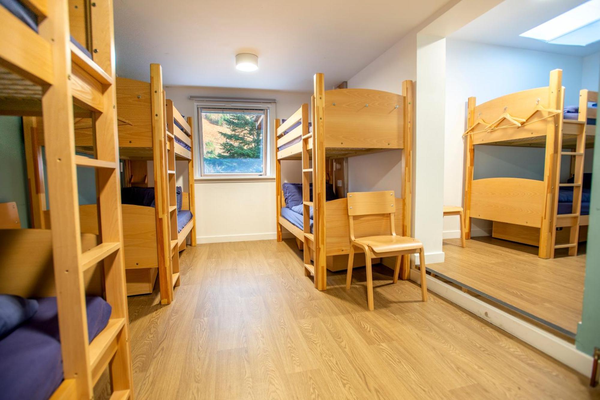 Bunk Bed Male Dormitory Room